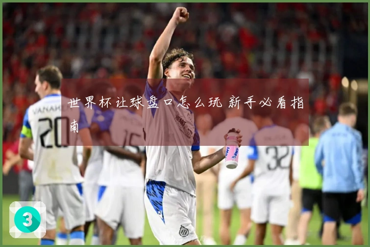 世界杯让球盘口怎么玩 新手必看指南