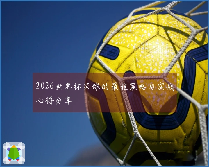 2026世界杯买球的最佳策略与实战心得分享