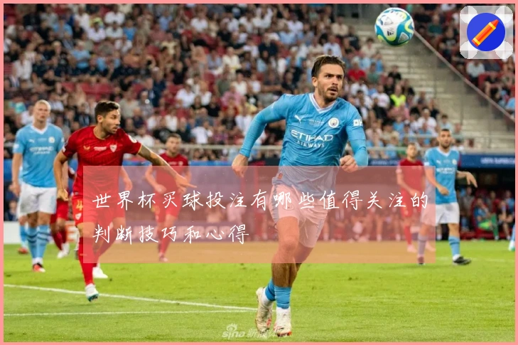 世界杯买球投注有哪些值得关注的判断技巧和心得