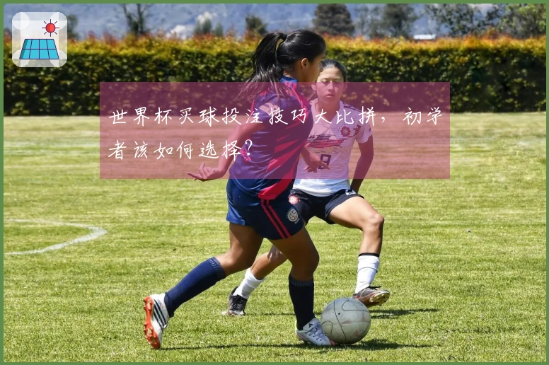 世界杯买球投注技巧大比拼，初学者该如何选择？